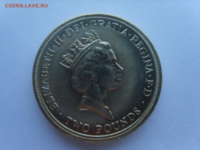 09.14.до22.00. - S8306727.JPG
