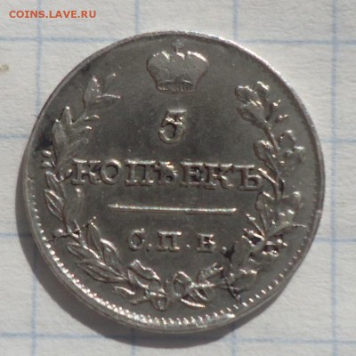 5 копеек 1816 ПС приличная оценка приблизительной стоимости - 5 коп 1816 реверс.JPG
