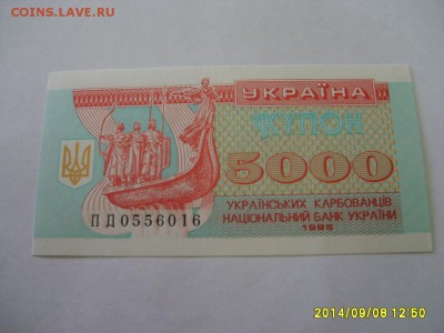 УКРАИНА,5000 карбованцев 1995г(отличная)!до 11.09.2014 - S6001768.JPG