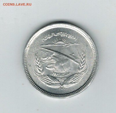 Египет 5 миллим 1973 до 10.09.2014   22-00 - 1 9