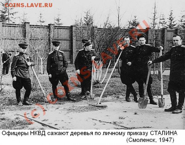 Самолет президента Польши разбился под Смоленском - 1111111