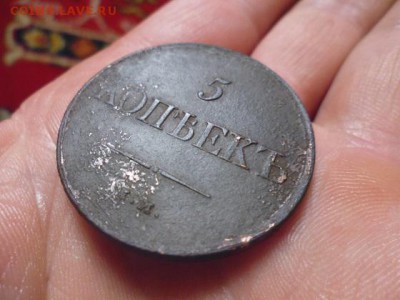 5 копеек 1831 без букв на аверсе - P1010471.JPG