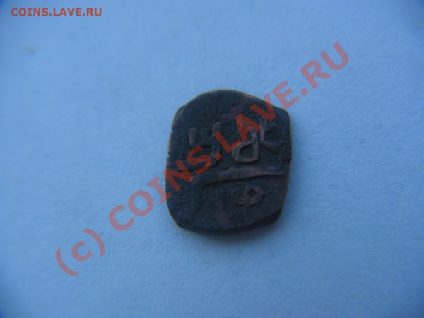 помосчь в опознании- чешуя восточных кровей - PICT0772.JPG