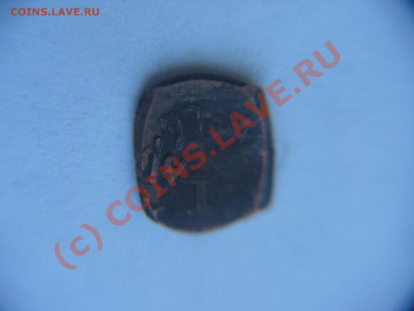 помосчь в опознании- чешуя восточных кровей - PICT0773.JPG