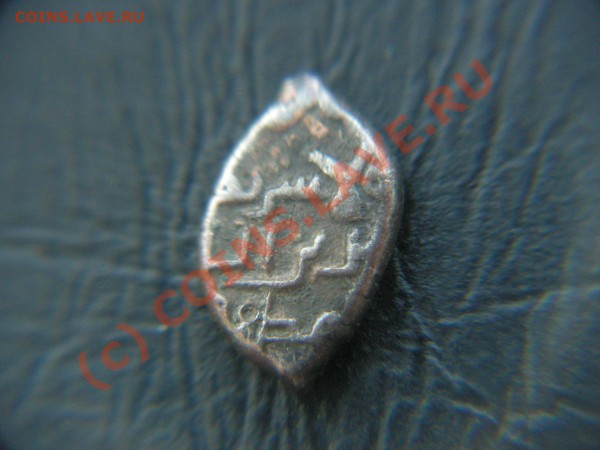 помосчь в опознании- чешуя восточных кровей - PICT0777.JPG