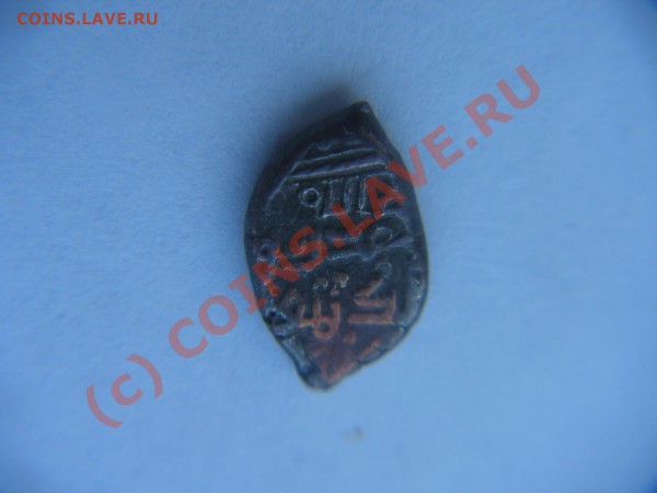 помосчь в опознании- чешуя восточных кровей - PICT0770.JPG
