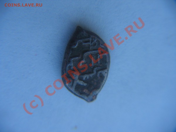 помосчь в опознании- чешуя восточных кровей - PICT0771.JPG