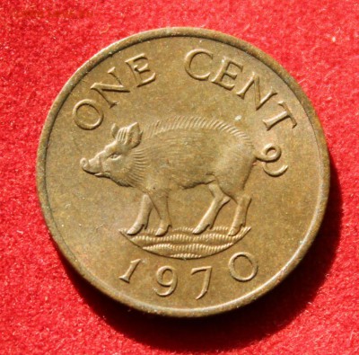 C рубля БЕРМУДА 1с 1970г. ПОРОСЁНОК  до 18.09.14г.в 22-00 - IMG_0591.JPG