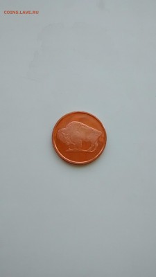 1 OZ Медь Буйвол до 15.09 22 00 - IMG_20140912_105007303