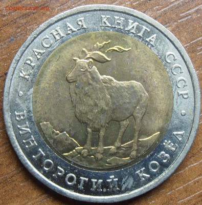 КК 1991 Винторогий Козел, до 18.09.2014 в 22-00 Мск - P9120310.JPG
