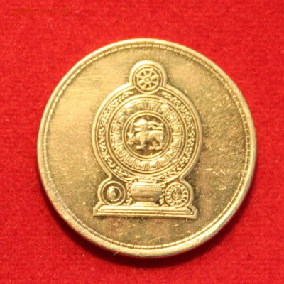 Конкурс «Veni Vedi Vici» - IMG_0284.JPG