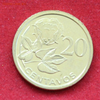 C рубля  МОЗАМБИК 20с 2006г. ЦВЕТОК  UNC до 20.09.14г. в 22 - IMG_0803.JPG