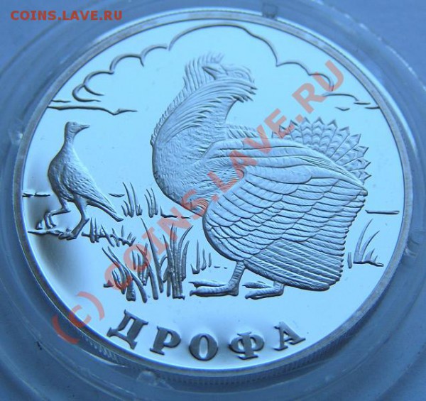 Красная Книга 2004 Дрофа (серебро) до 22-00 14.04 - P4110323.JPG