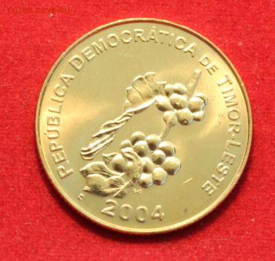 C рубля ВОСТОЧНЫЙ ТИМОР 50с 2004г. ФРУКТ до 21.09.2014г. - IMG_0886.JPG