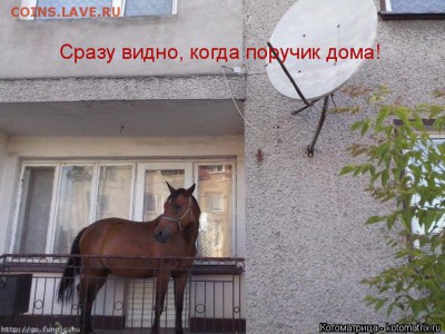 юмор - kotomatritsa_u5