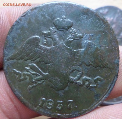 5 коп.1837см.до 22.09.14.в 22-00 мск. - SAM_0654.JPG
