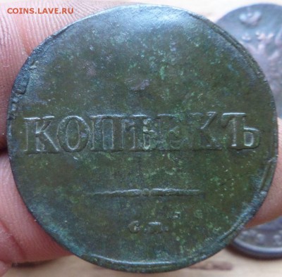 5 коп.1837см.до 22.09.14.в 22-00 мск. - SAM_0653.JPG