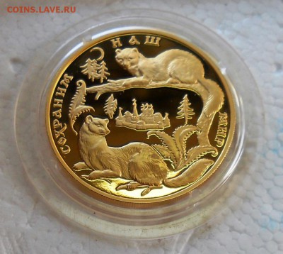 200 рублей 1994 год СОБОЛЬ, ЗОЛОТО Оценка - DSCN0013.JPG