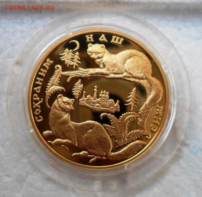 200 рублей 1994 год СОБОЛЬ, ЗОЛОТО Оценка - DSCN0011.JPG