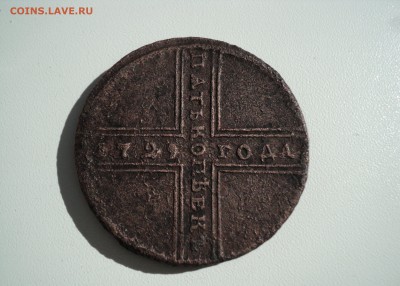 ,,Крестовик" 1729 оценка - DSC07482.JPG