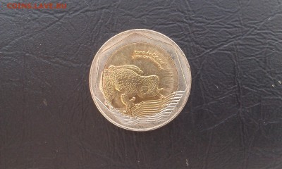 Колубия 500 песо (Лягушка) - IMAG2371