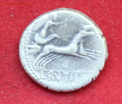Конкурс «Veni Vedi Vici» - IMG_0988.JPG