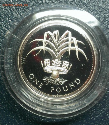 С 200 РУБЛЕЙ! Великобритания 1 фунт 1985 proof до 21.09 - IMAG0586