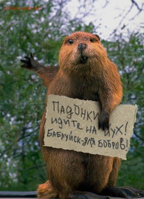 Ассоциация слов - бобруйсккк