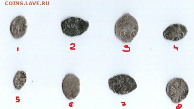 Чешуя (накопать-накопали, определить не можем) - 2