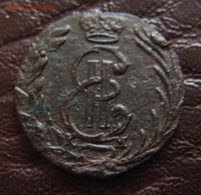полушка 1770 КМ Сибирь до 23,09 в 22,10 - P9202436.JPG
