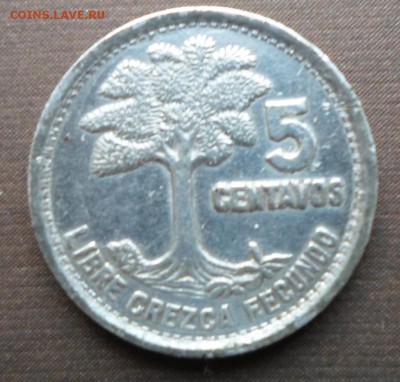 Серебро. 5 centavos 1957 года Гватемала до 25.09 до 22-00 - SAM_0563.JPG