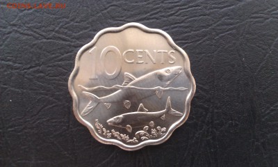 Багамы 10 центов 2007 Рыбы до 26.09 _ 22:00 - IMAG2334