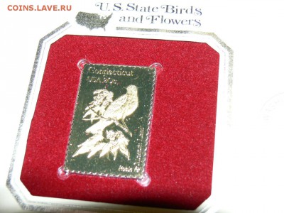 Золотая Марка  ЗОЛОТО 916 проба - 22kt. КПД Птицы - P1950777.JPG