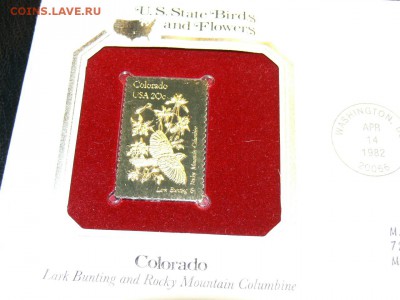Золотая Марка 916 проба - 22kt. КПД Птицы. Колорадо - P1950794.JPG