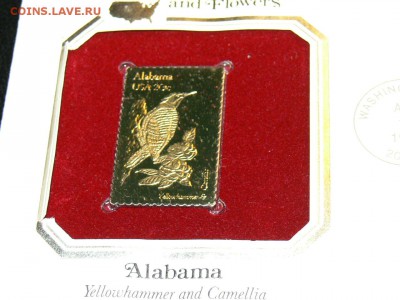 Золотая Марка 916 проба - 22kt. КПД Птицы. Алабама - P1950812.JPG