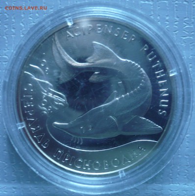 УКРАИНА 2 гривны 2008 и 2012 гг., до 24.09.14 г., 22.00 мск. - стерлядь.JPG