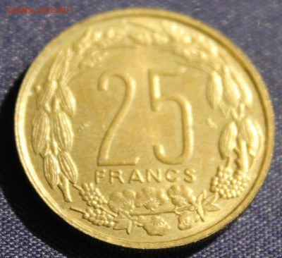 С РУБЛЯ КАМЕРУН 25 франков 1962г.БУЙВОЛЫ до 28.09.14г в 22 - IMG_1080.JPG