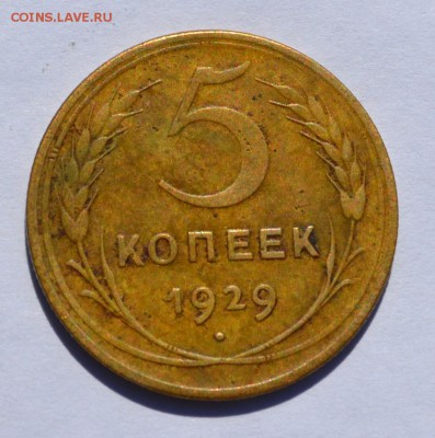 5 копеек 1929 до 26.09 в 22-30 мск - 5-1929-1.JPG