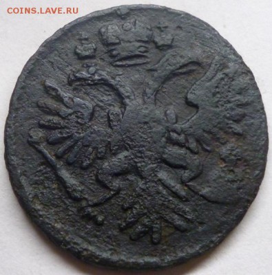 деньга 1731 г. одна черта. Короткий аукцион. - P1040390.JPG