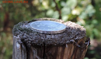 КРАГОВЫЙ ПОЛТИННИК 1924 г. Т.Р: КЛАДОВОЙ‰‰‰‰‰‰‰‰ аукцион n15 - DSCN1374