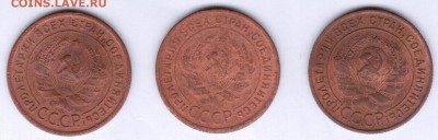 Две 1-копеечные монеты 1924 года. - аверс 1 коп 1924