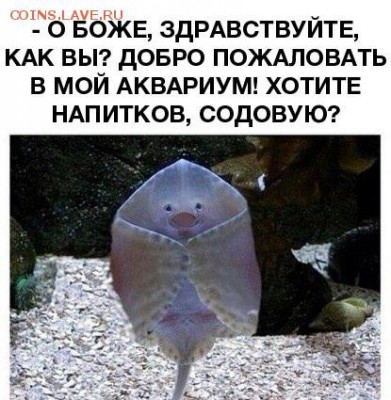 юмор - image