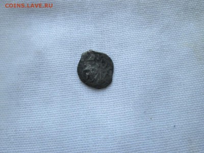 Чешуйки загадки? - IMG_1225.JPG