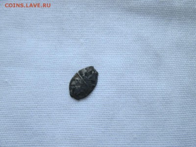 Чешуйки загадки? - IMG_1220.JPG