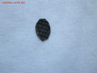 Чешуйки загадки? - IMG_1218.JPG