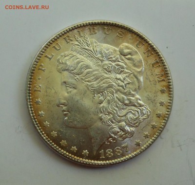Доллар Морган 1887  отличный до 26.09.2014 г. в 23.00 мск - DSCN6994