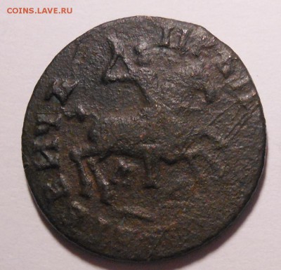 1 копейка 1713 г. Петр I до 29.09.2014 г. в 23.00 мск - DSCN6997