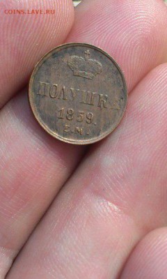 полушка 1859 год Большие короны на оценку (2 шт) - 4