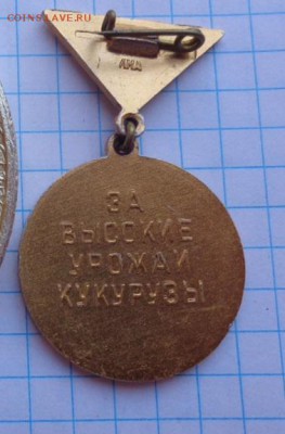 ЦК ВЛКСМ "Ударник стр химии" + "Лучший кукурузовод"ммд  29.9 - аааа  25.09.2014 гггг 031.JPG