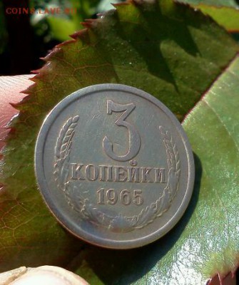 3 копейки 1965 год. красивая! с 200 руб!!! - IMG2495-1